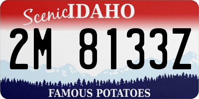 ID license plate 2M8133Z