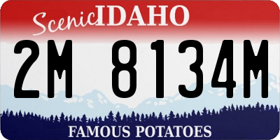 ID license plate 2M8134M