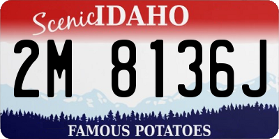 ID license plate 2M8136J