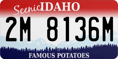 ID license plate 2M8136M