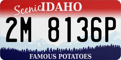 ID license plate 2M8136P