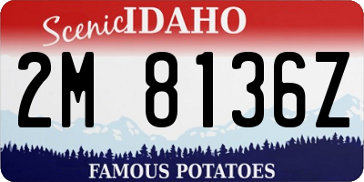 ID license plate 2M8136Z