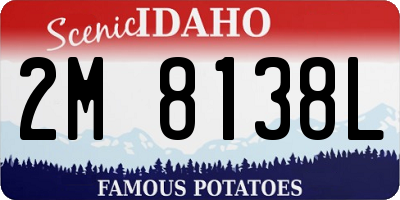 ID license plate 2M8138L
