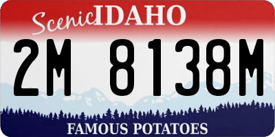 ID license plate 2M8138M