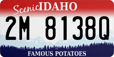 ID license plate 2M8138Q