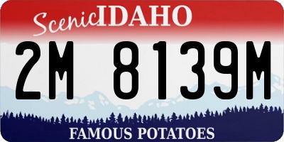 ID license plate 2M8139M