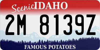ID license plate 2M8139Z