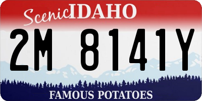 ID license plate 2M8141Y