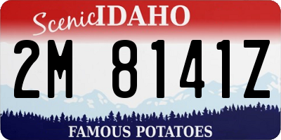 ID license plate 2M8141Z