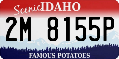 ID license plate 2M8155P