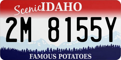 ID license plate 2M8155Y