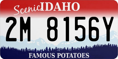 ID license plate 2M8156Y