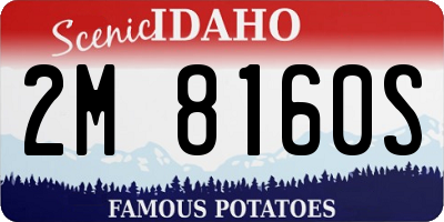 ID license plate 2M8160S