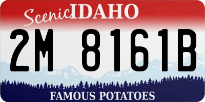 ID license plate 2M8161B