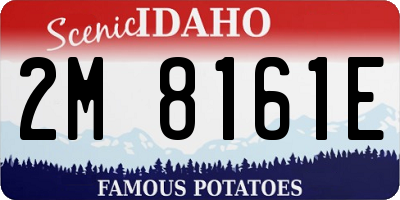 ID license plate 2M8161E