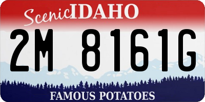 ID license plate 2M8161G
