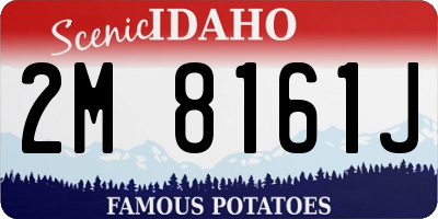 ID license plate 2M8161J