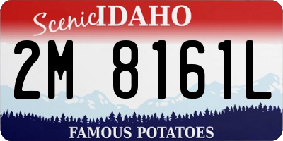 ID license plate 2M8161L