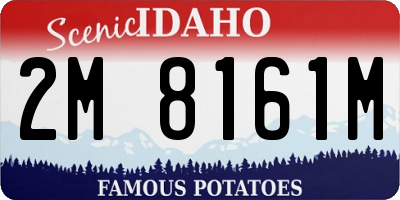ID license plate 2M8161M