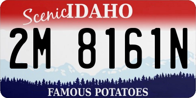 ID license plate 2M8161N