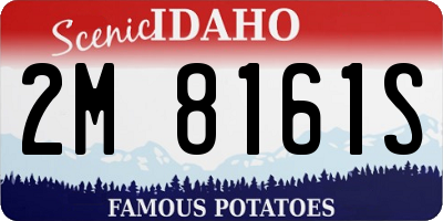 ID license plate 2M8161S
