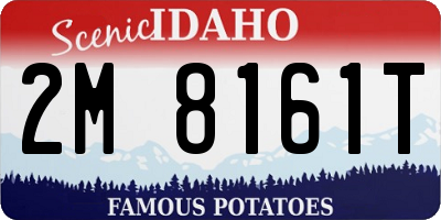 ID license plate 2M8161T