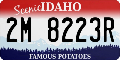 ID license plate 2M8223R