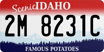 ID license plate 2M8231C