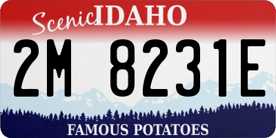ID license plate 2M8231E
