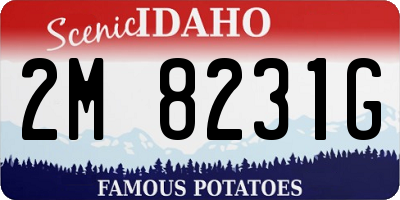ID license plate 2M8231G