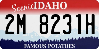 ID license plate 2M8231H