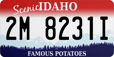 ID license plate 2M8231I