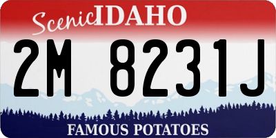 ID license plate 2M8231J