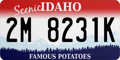 ID license plate 2M8231K