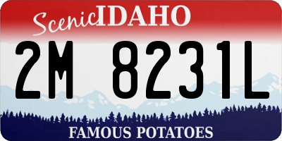 ID license plate 2M8231L