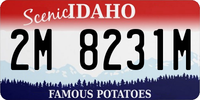ID license plate 2M8231M