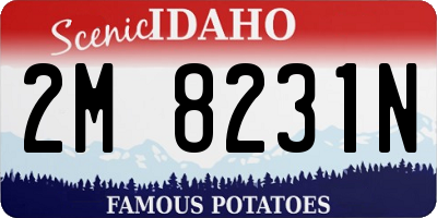 ID license plate 2M8231N