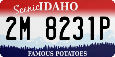ID license plate 2M8231P