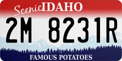 ID license plate 2M8231R