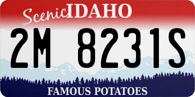 ID license plate 2M8231S