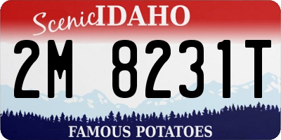 ID license plate 2M8231T