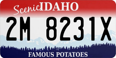 ID license plate 2M8231X