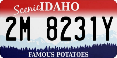 ID license plate 2M8231Y