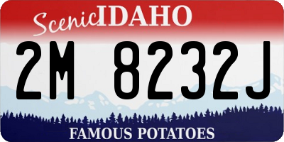 ID license plate 2M8232J