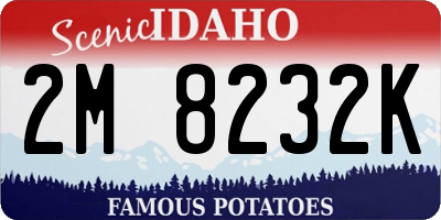 ID license plate 2M8232K