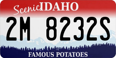 ID license plate 2M8232S