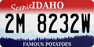 ID license plate 2M8232W