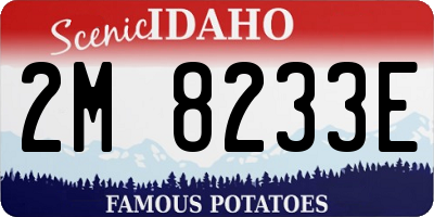 ID license plate 2M8233E