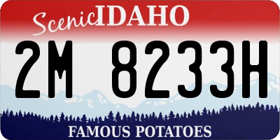 ID license plate 2M8233H