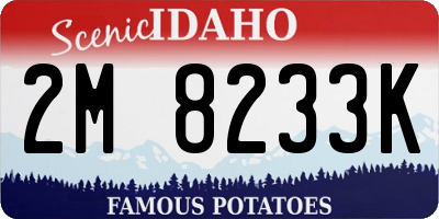 ID license plate 2M8233K
